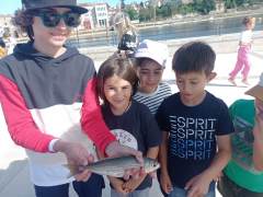 Concurso-pesca-24