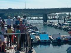 Concurso-pesca-41